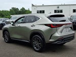 2024 Lexus NX 350 NX 350